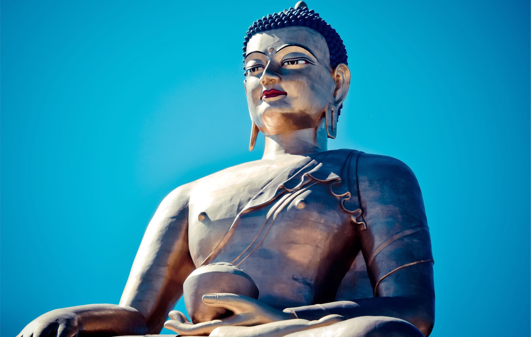 acliviaggi-calcutta-e-bhutan-buddha-dordenma-dettaglio-pb