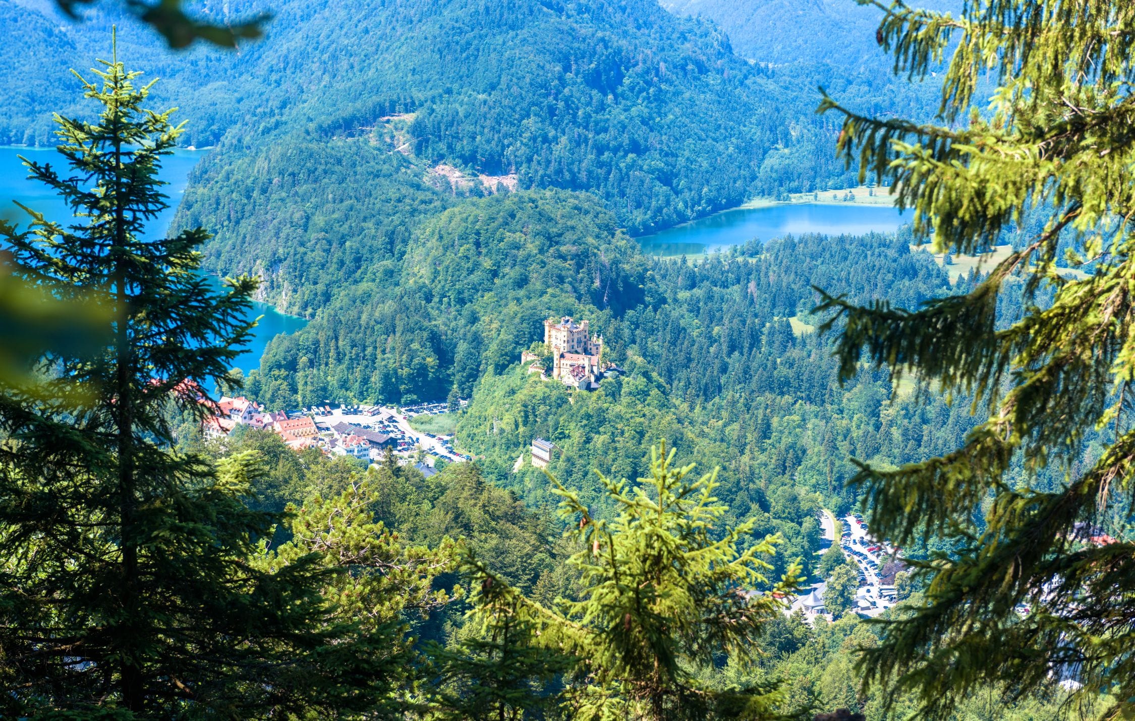 Veduta panoramica delle Alpi bavaresi con prati fioriti e vette montuose, tipica della regione della Baviera in Germania.