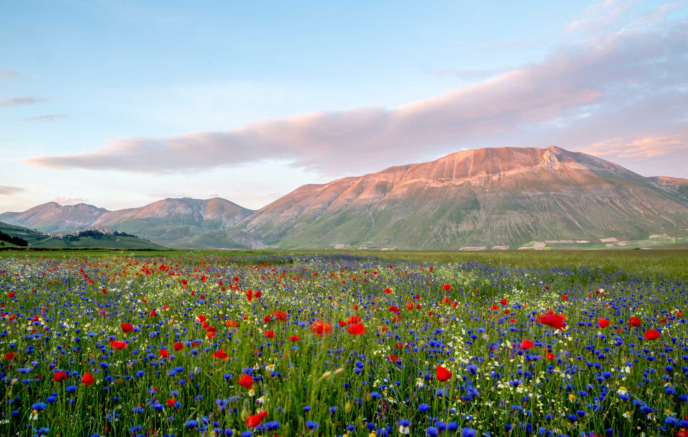 acliviaggi-castelluccio-di-norcia-castelluccio-adobestock-342354203