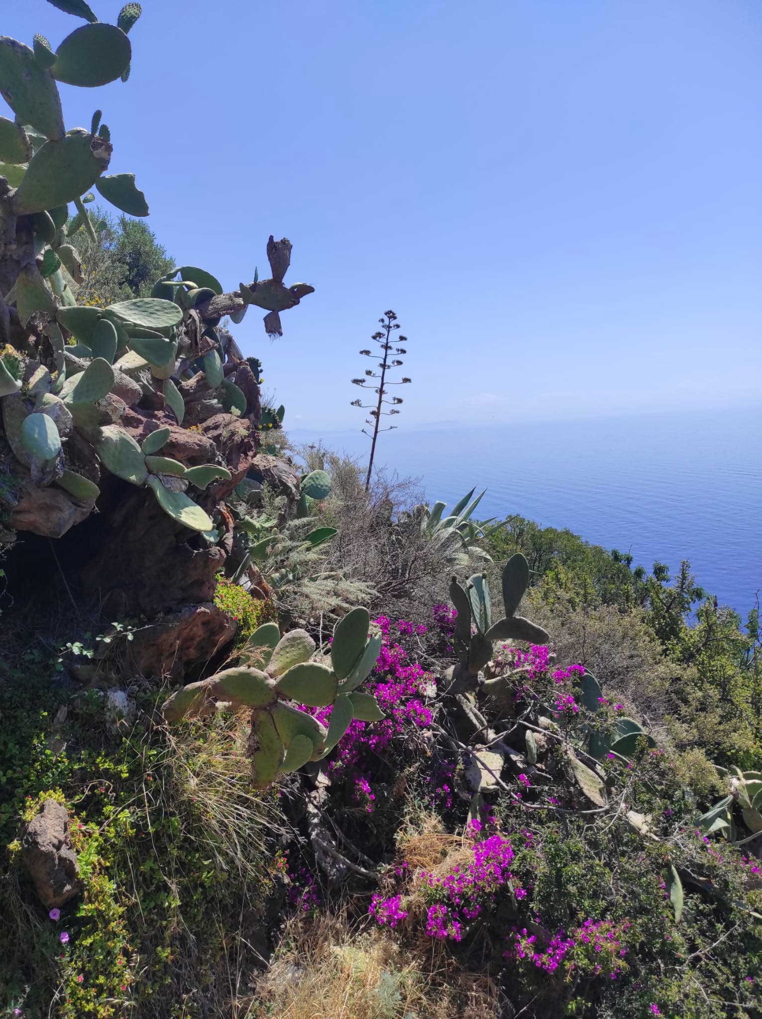 acliviaggi-isole-eolie-natura-foto-grp