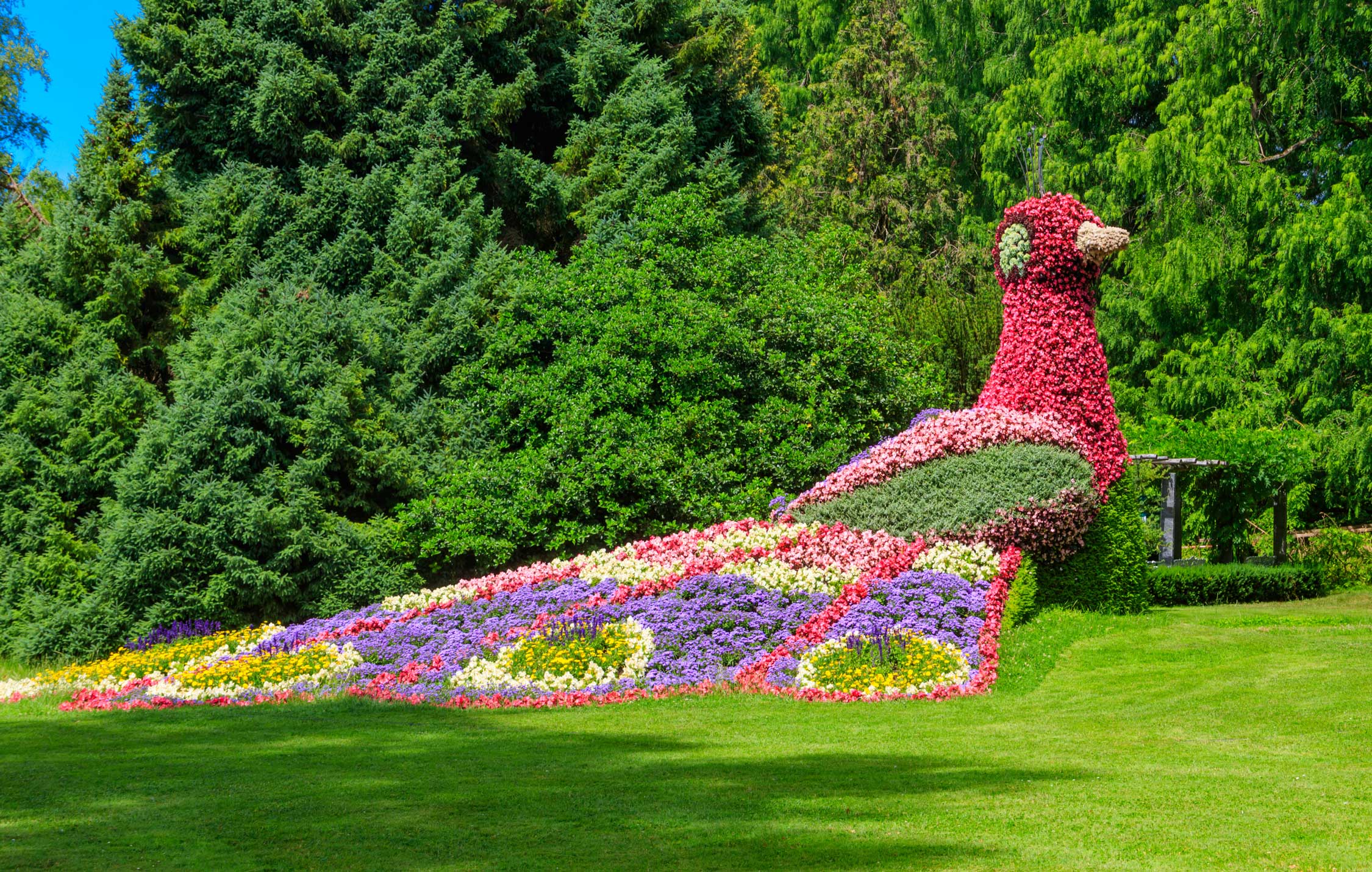 acliviaggi-lago-di-costanza-pavone-fiori-mainau-lake-constance-ma