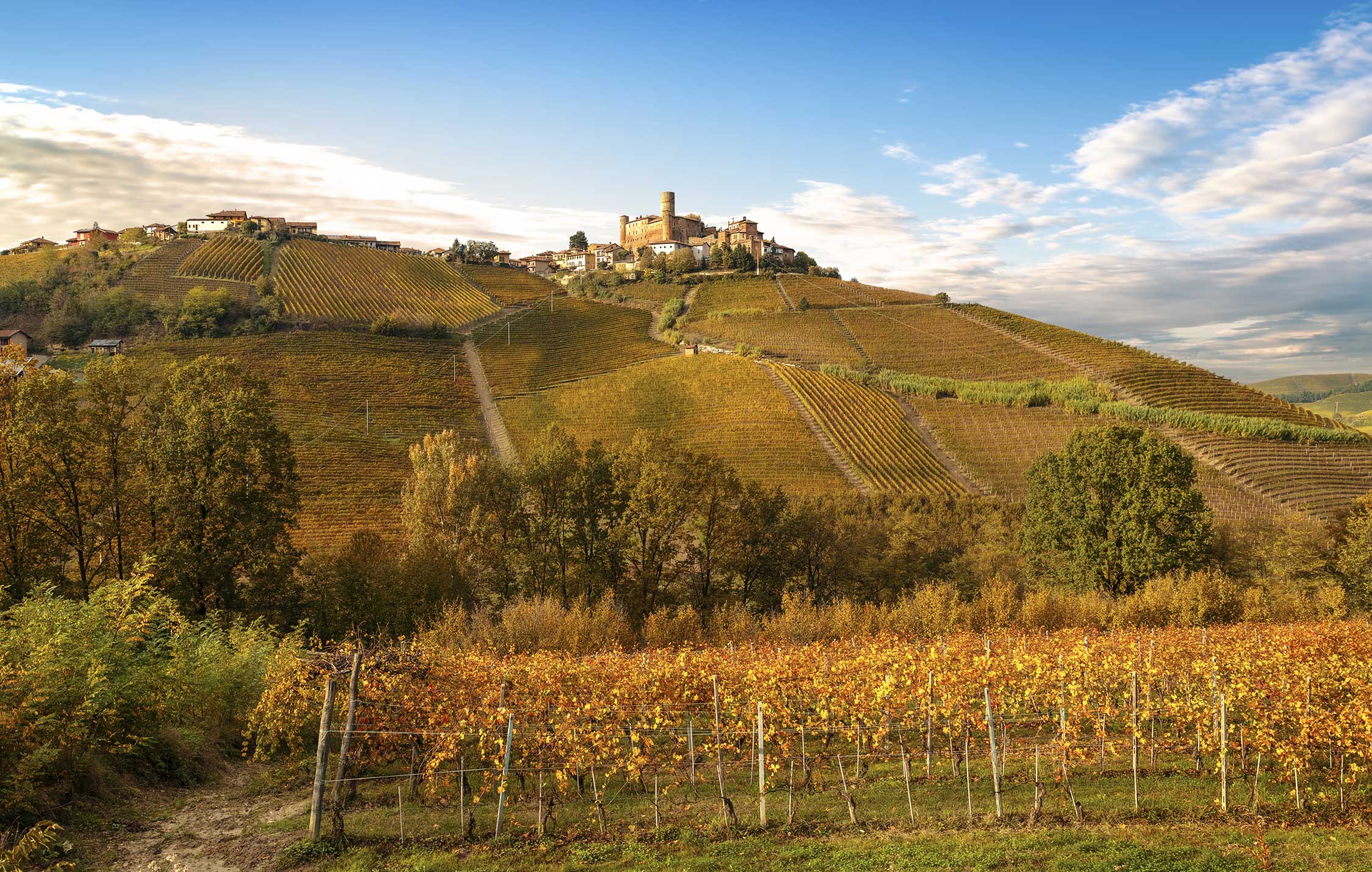 acliviaggi-langhe-paesaggio-langhe-barolo-ma