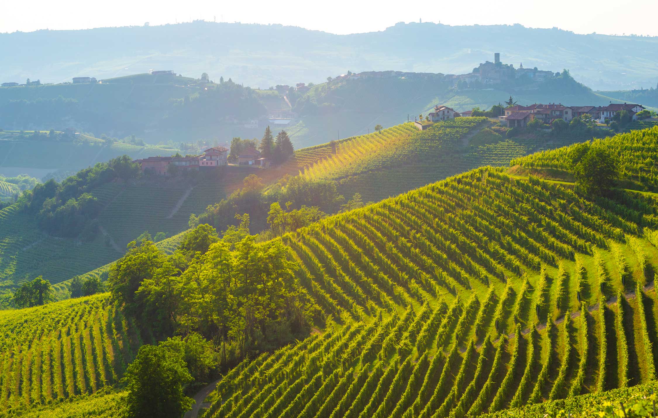 acliviaggi-langhe-vigneti-langhe-ma