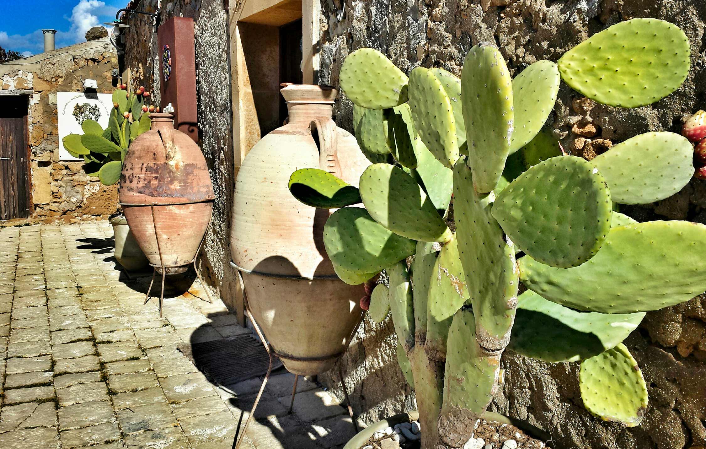 Dettagli di anfore e cactus a Pantelleria