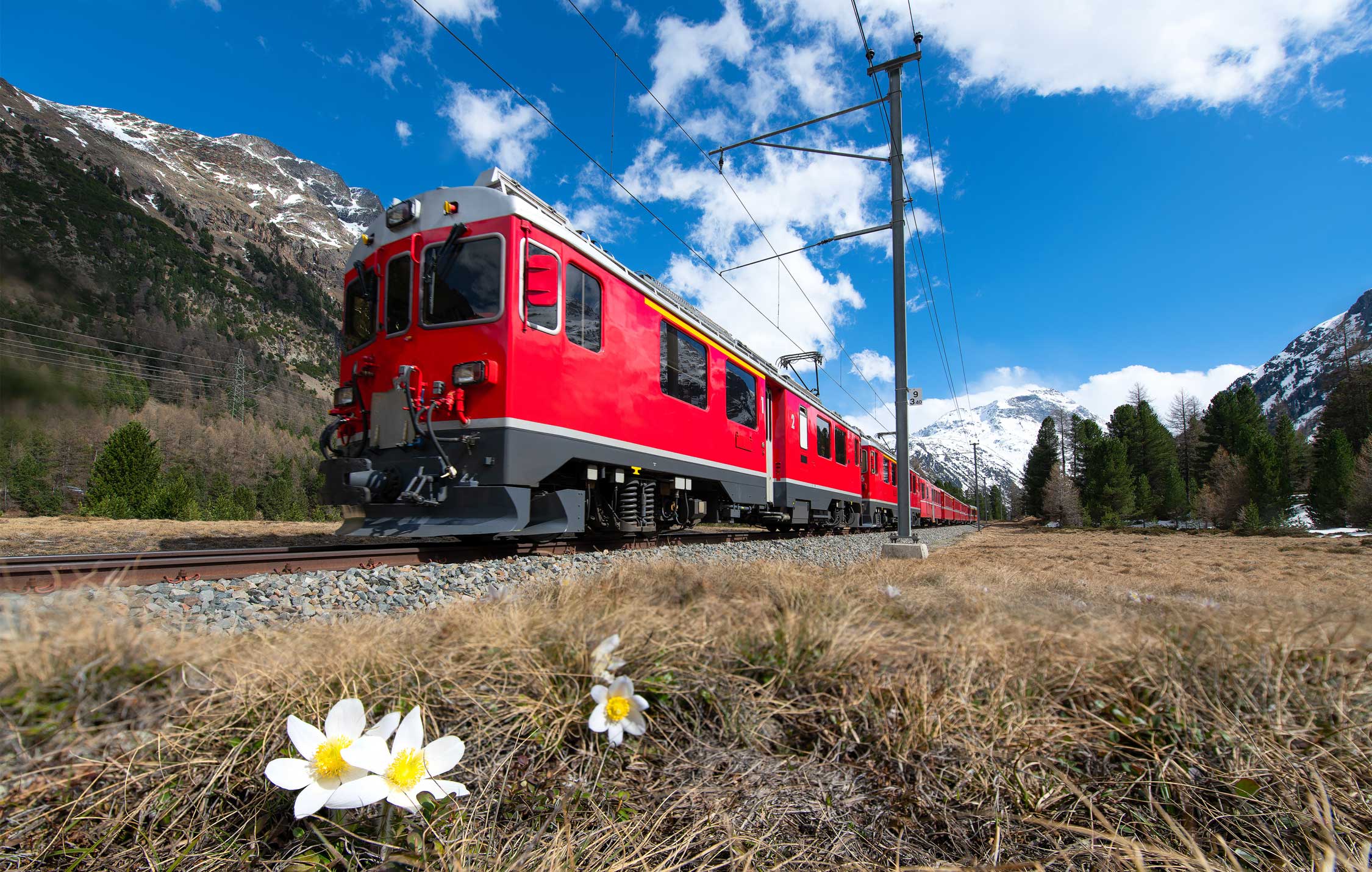 acliviaggi-parco-dello-stelvio-bernina-express-ma