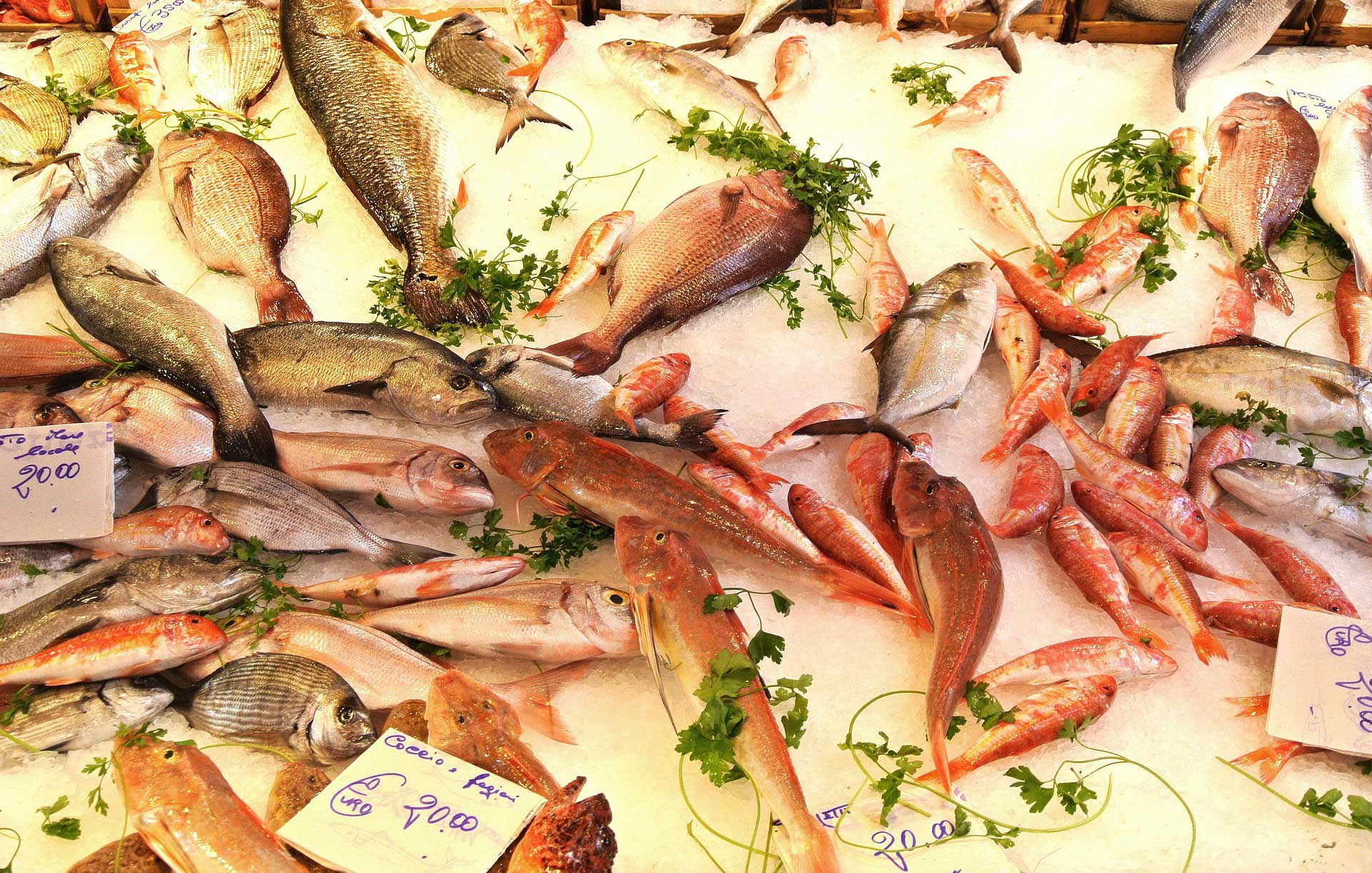 acliviaggi-sicilia-occidentale-mercato-pesce-pb