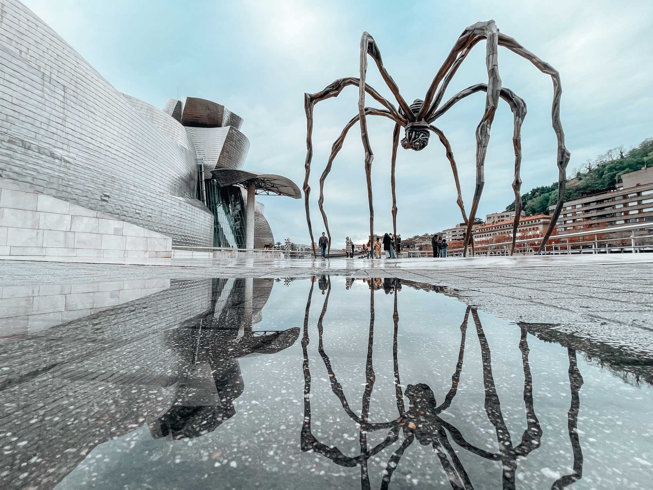 acliviaggi-spagna-nord-guggenheim-bilbao-dettaglio-ma