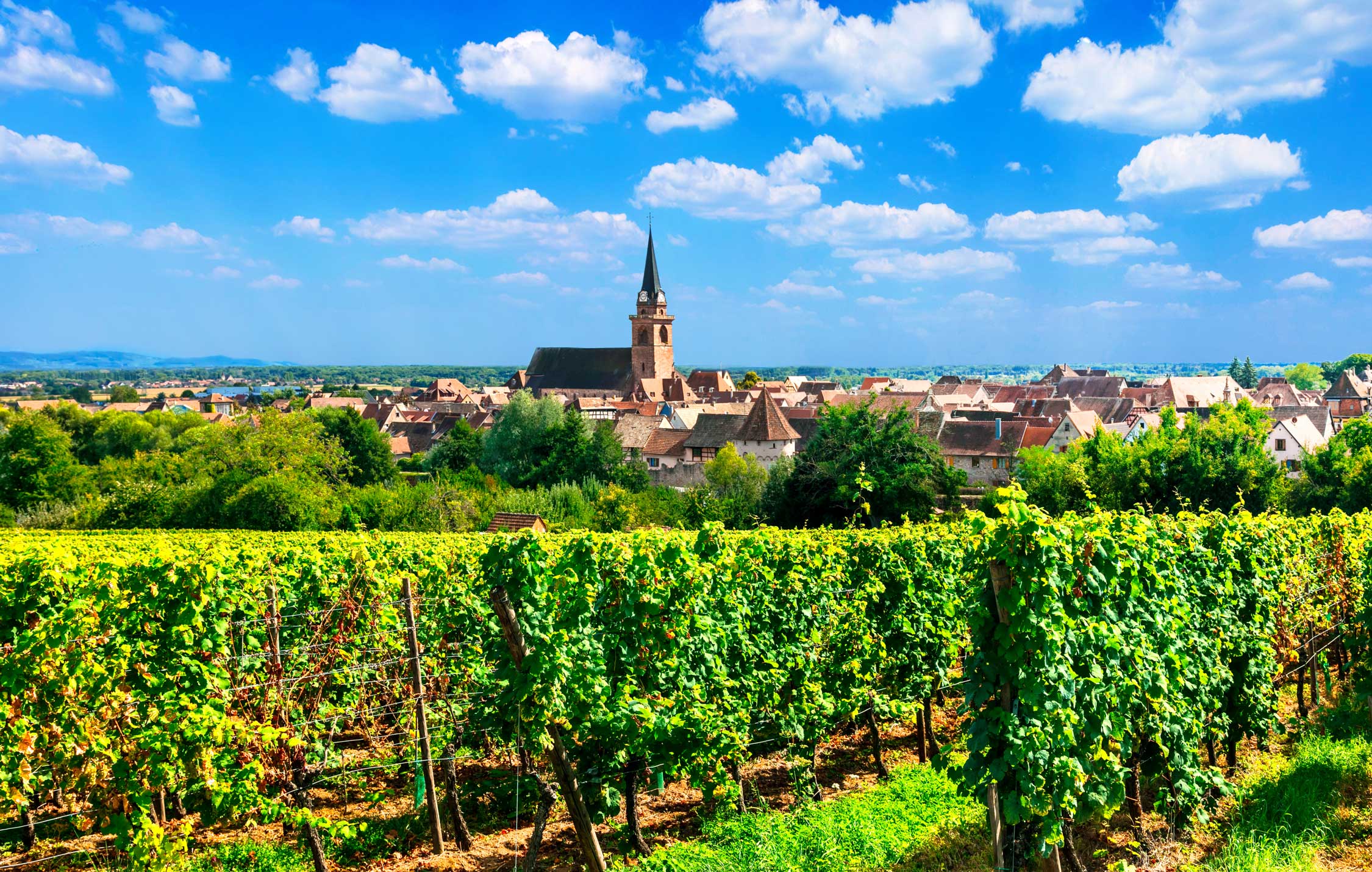 acliviaggi-strasburgo-e-colmar-alsazia-strada-dei-vini-ma