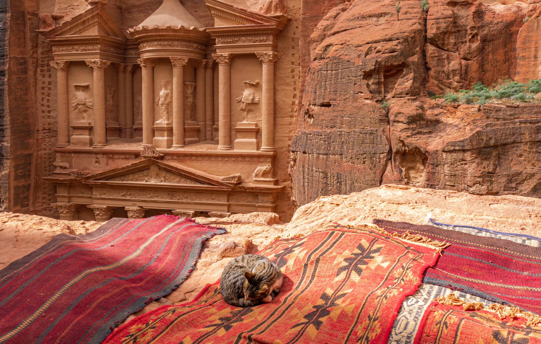 acliviaggi giordania petra il tesoro dettaglio gatto pb