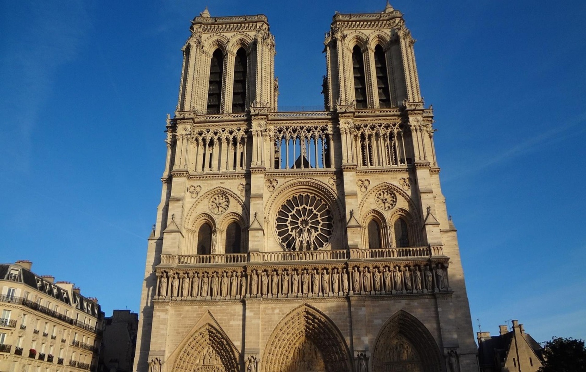 acliviaggi parigi notre dame PB