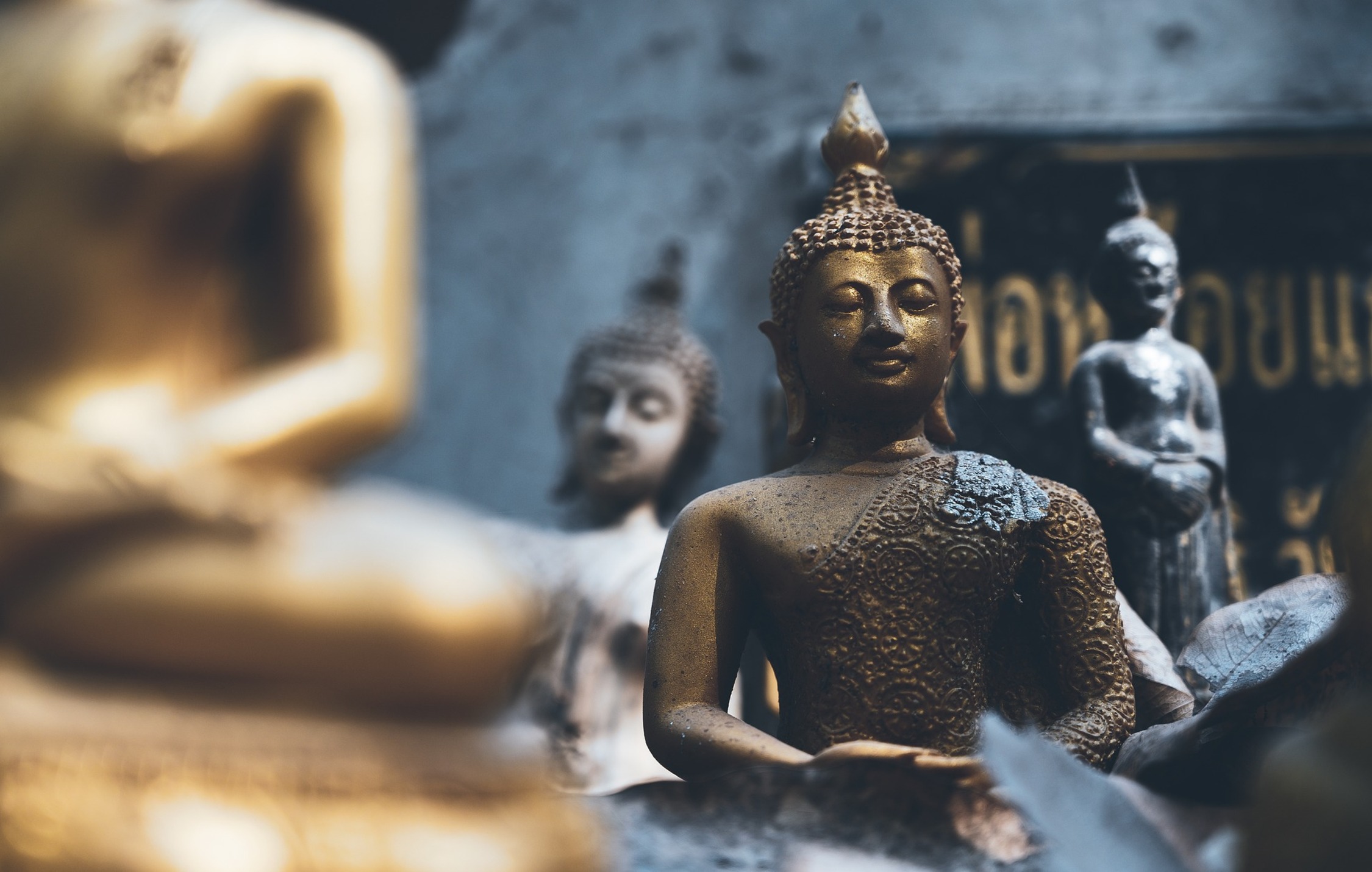 acliviaggi thailandia buddha PB